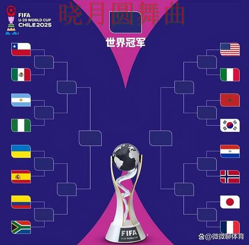 世界杯投注注册临场调整思路详解详细解析